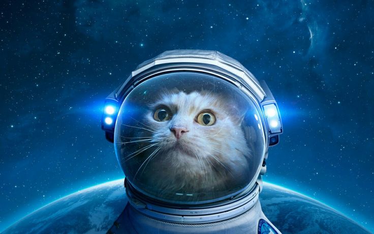 avatar Дмитрий